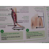 PLATFORME VIBRANTE REVITIVE