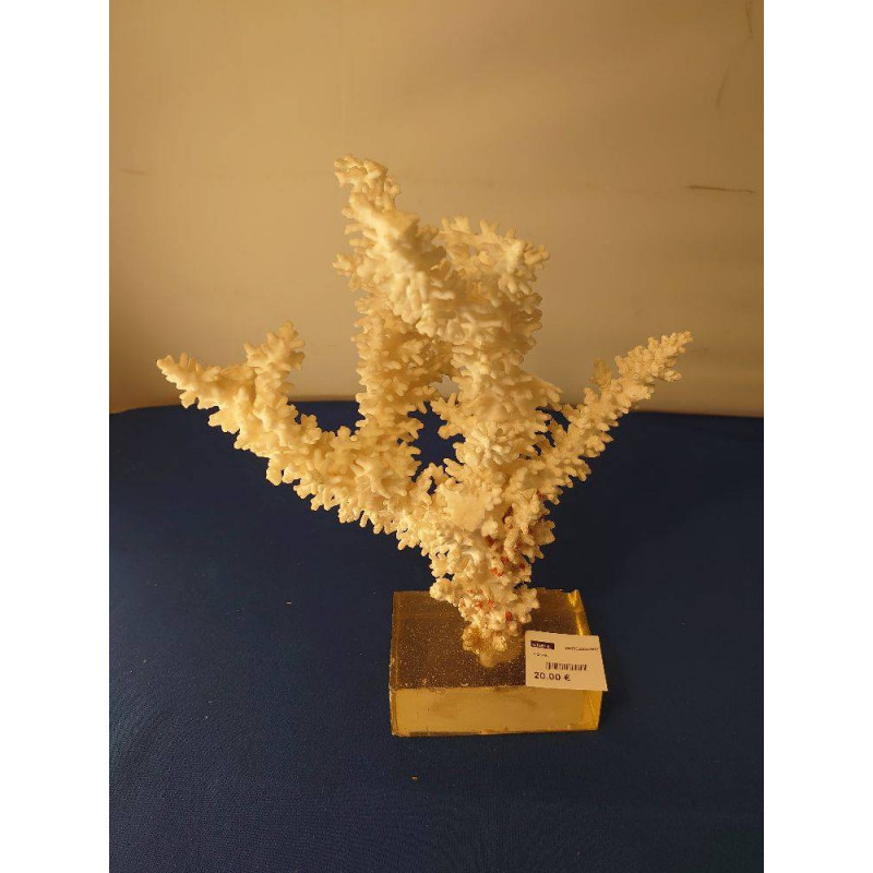 CORAIL