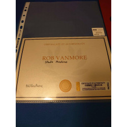 SKATE ROB VANMORE