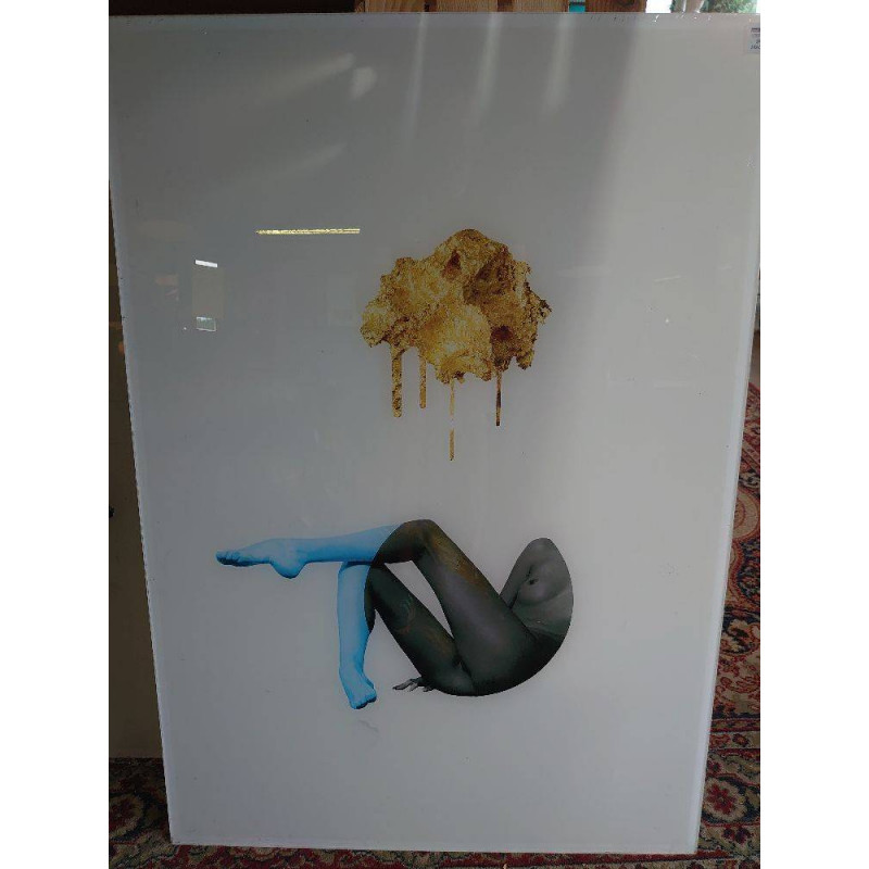 IMPRESSION PLEXI LAURENT LAPORTE