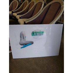 IMPRESSION PLEXI LAURENT LAPORTE