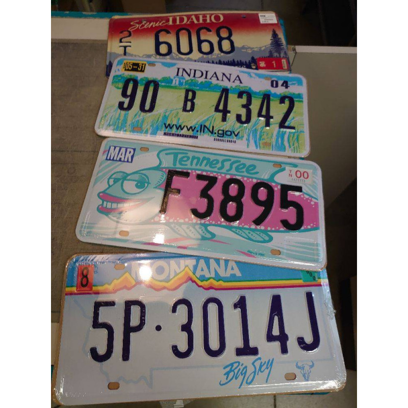 PLAQUE IMMATRICULATION ETATS UNIS