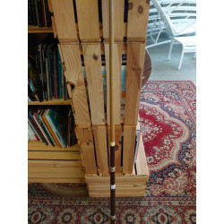 QUEUE DE BILARD LA...