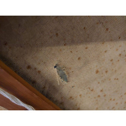 HST MAISON DE CAMPAGNE