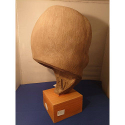 SCULPTURE VISAGE FEMININ