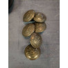 6 BOUTONS MARINE FRANCAISE