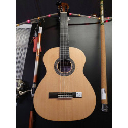 GUITARE SALVADOR CS234