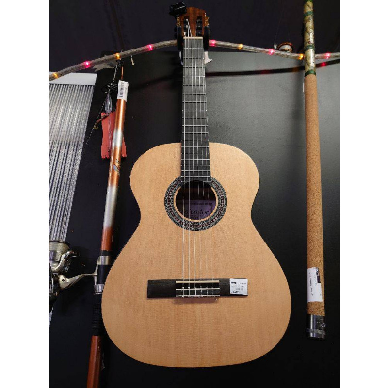 GUITARE SALVADOR CS234