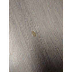 SALLE A MANGER MODERNE 