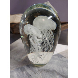 MEDUSES SOUS VERRE