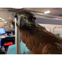 AIGLE DECO BELLE FINITION