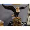 AIGLE STYLISE MINERAUX