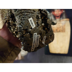 AIGLE STYLISE MINERAUX